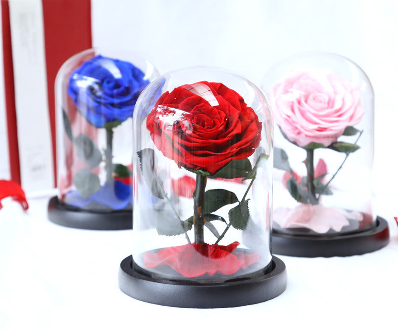 Every Love Wholesale Wed Gift Rose Glass Dome Real Preserved Rose