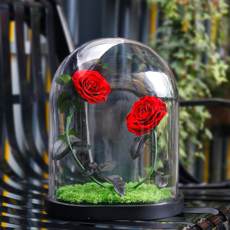 Immortal flower glass cover finished Valentine's Day gift girlfriend gift sweet heart sweet heart immortal flower