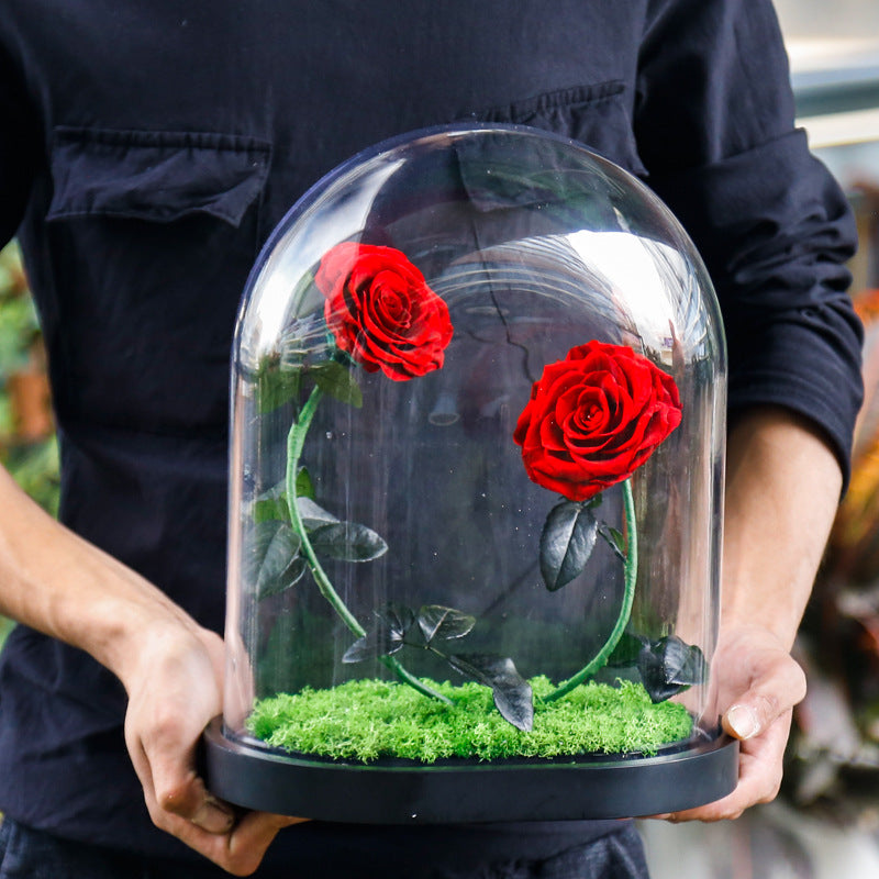 Immortal flower glass cover finished Valentine's Day gift girlfriend gift sweet heart sweet heart immortal flower