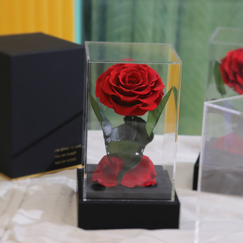 Forever Flowers Clear Acrylic Little Prince Gift Box Roses Valentine's Day