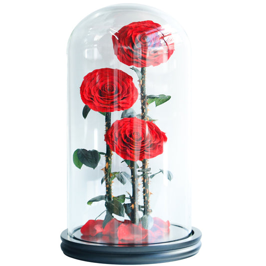 Eternal Flower Prince Series 20*40 Size Glass Cover Three 9-10cm Roses