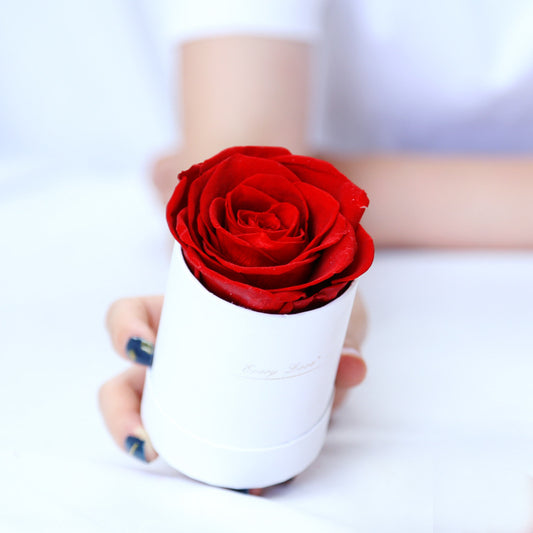 Preserved Flower Single Rose In Round Box