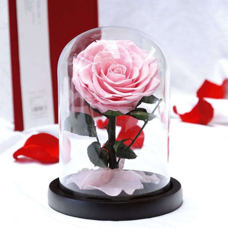 Every Love Wholesale Wed Gift Rose Glass Dome Real Preserved Rose