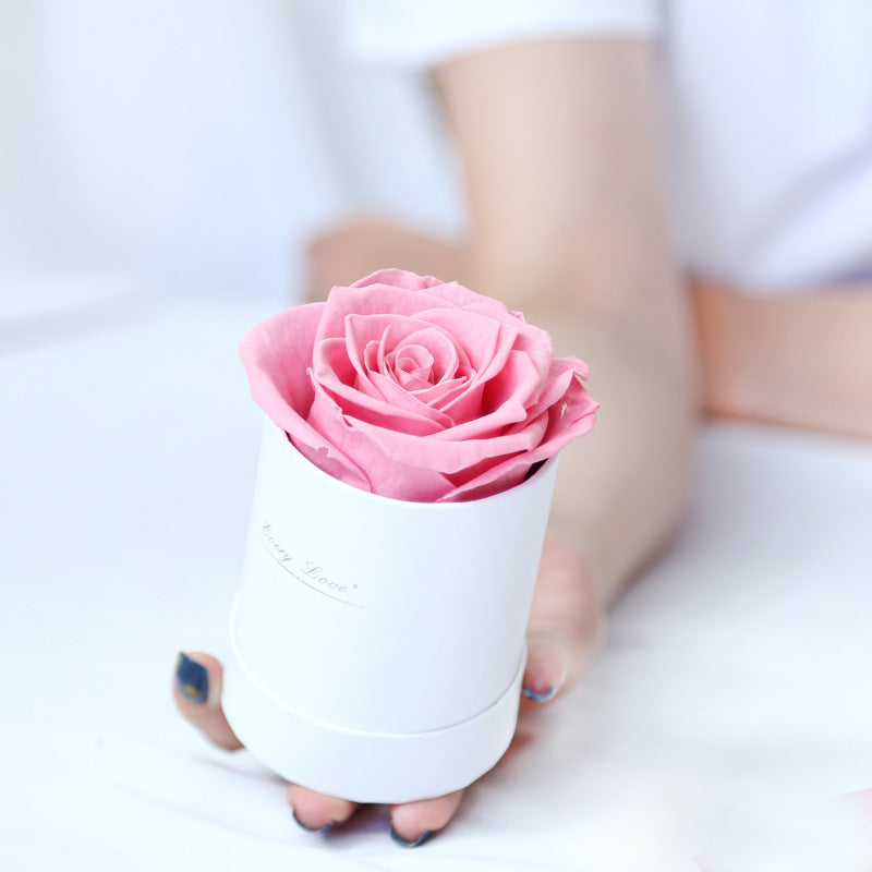 Preserved Flower Single Rose In Round Box