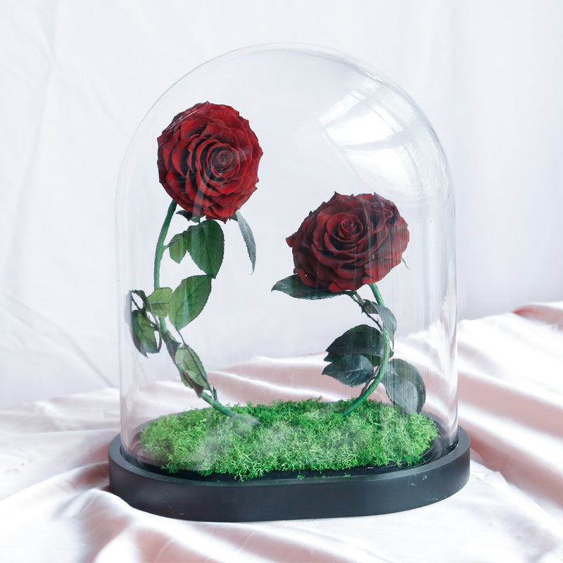 Immortal flower glass cover finished Valentine's Day gift girlfriend gift sweet heart sweet heart immortal flower