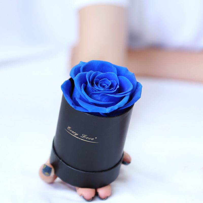 Preserved Flower Single Rose In Round Box