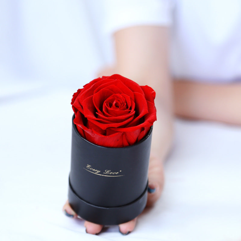 Preserved Flower Single Rose In Round Box