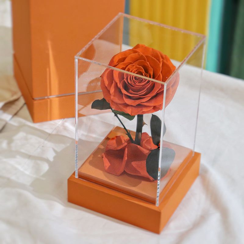 Forever Flowers Clear Acrylic Little Prince Gift Box Roses Valentine's Day