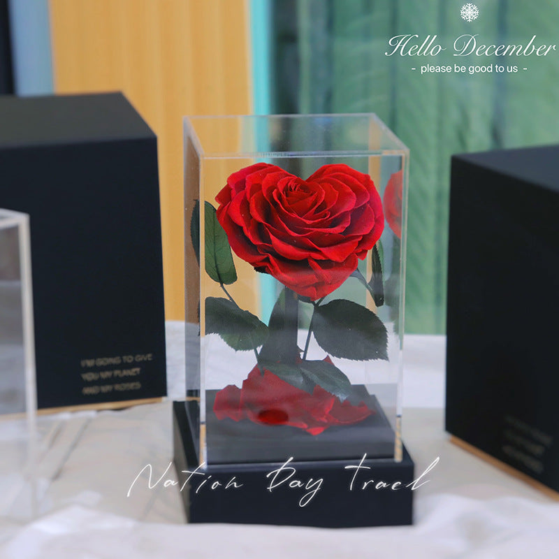 Forever Flowers Clear Acrylic Little Prince Gift Box Roses Valentine's Day