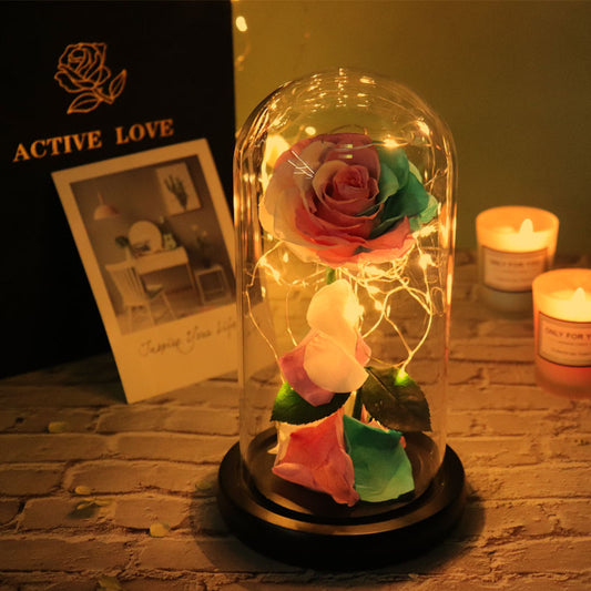 Forever Flowers with Lights Little Prince Roses 214 Valentine's Day Christmas Mother's Day Birthday Gift