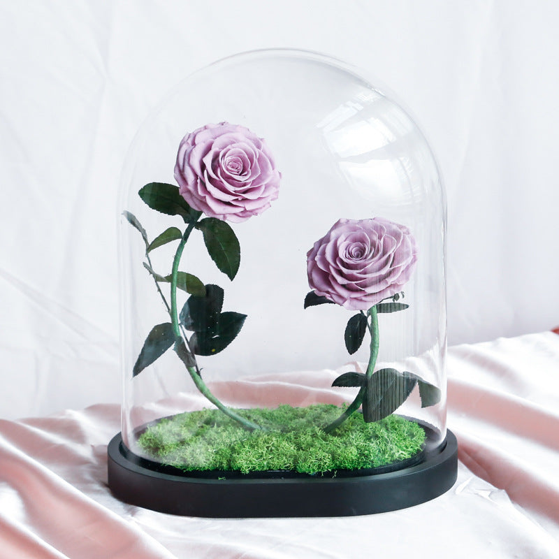 Immortal flower glass cover finished Valentine's Day gift girlfriend gift sweet heart sweet heart immortal flower