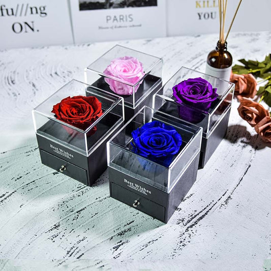 Natural Eternal Rose Jewelry Box /w 100 Languages Love Necklace Preserved Flowers Proposal Ring Case Valentine's Christmas Gifts