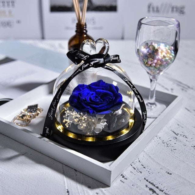 Natural Eternal Flowers Beauty and Beast Forever Preserved Rose In Glass Dome with Led Valentine Wedding Christmas Gifts for Her