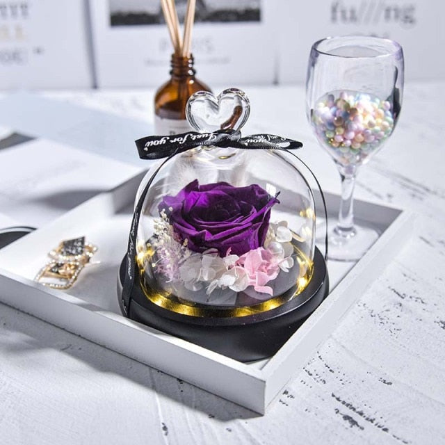 Natural Eternal Flowers Beauty and Beast Forever Preserved Rose In Glass Dome with Led Valentine Wedding Christmas Gifts for Her