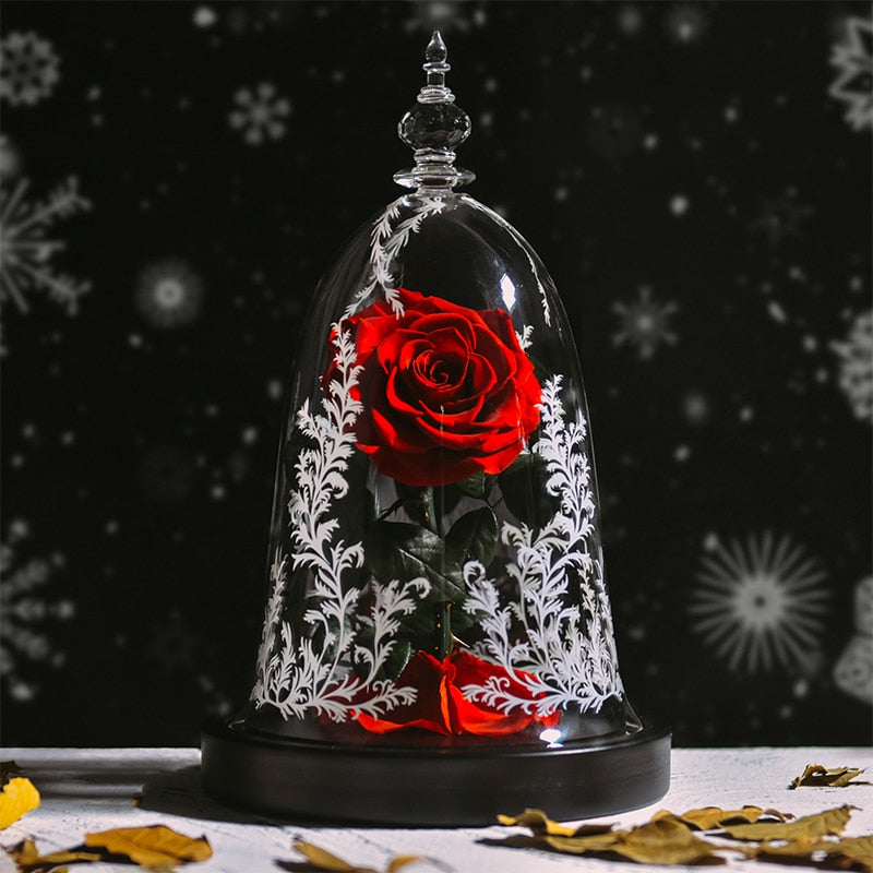 Beauty and The Beast Preserved Roses In Glass Forever Eternal Rose Flowers Christmas Valentine Gifts for Girls Mother Gift