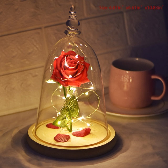 Beauty and The Beast Preserved Roses In Glass Forever Eternal Rose Flowers Christmas Valentine Gifts for Girls Mother Gift