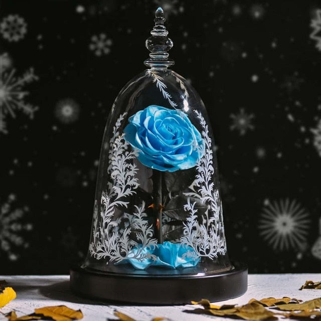 Beauty and The Beast Preserved Roses In Glass Forever Eternal Rose Flowers Christmas Valentine Gifts for Girls Mother Gift