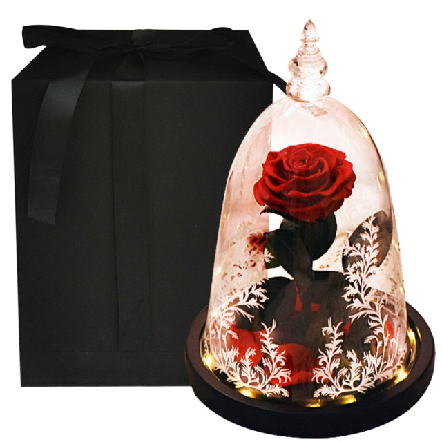 Beauty and The Beast Preserved Roses In Glass Forever Eternal Rose Flowers Christmas Valentine Gifts for Girls Mother Gift