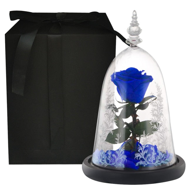 Beauty and The Beast Preserved Roses In Glass Forever Eternal Rose Flowers Christmas Valentine Gifts for Girls Mother Gift